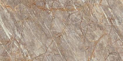 Natural Roots Polished 160x320 - 6mm Endless Atlas Concorde