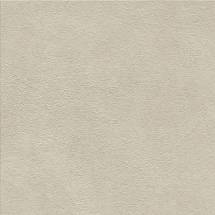 Boost Natural Pro Cinder 60x60  - 20mm  (ARB9) керамогранит Atlas Concorde