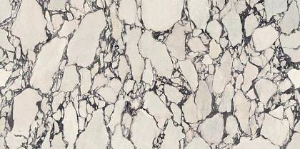 Calacatta Viola Polished 160x320 - 6mm Atlas Concorde