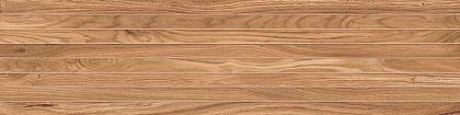 Rive Dolce Riva Tatami 20x80/Риве Дольче Рива Татами 20x80 Atlas Concorde