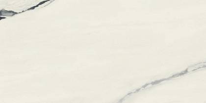 FDM Panda White Rett 60x120/ФДМ Панда Вайт Рет 60x120 (610010003172) Atlas Concorde