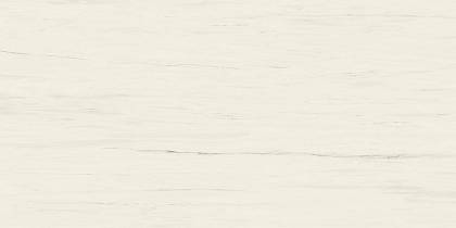 Marvel Bianco Dolomite Polished 160x320 (AO5X) Керамогранит (AO5X) Atlas Concorde